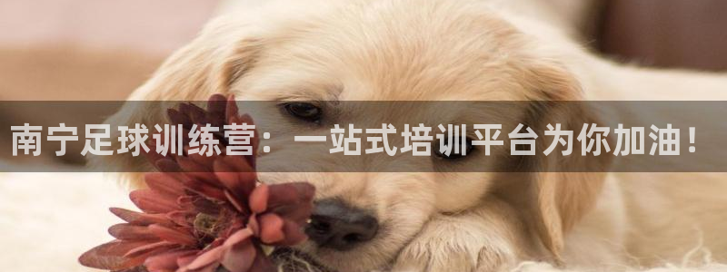 凯发官方正版app娱乐网站:南宁足球训练营:一站式培训平台为